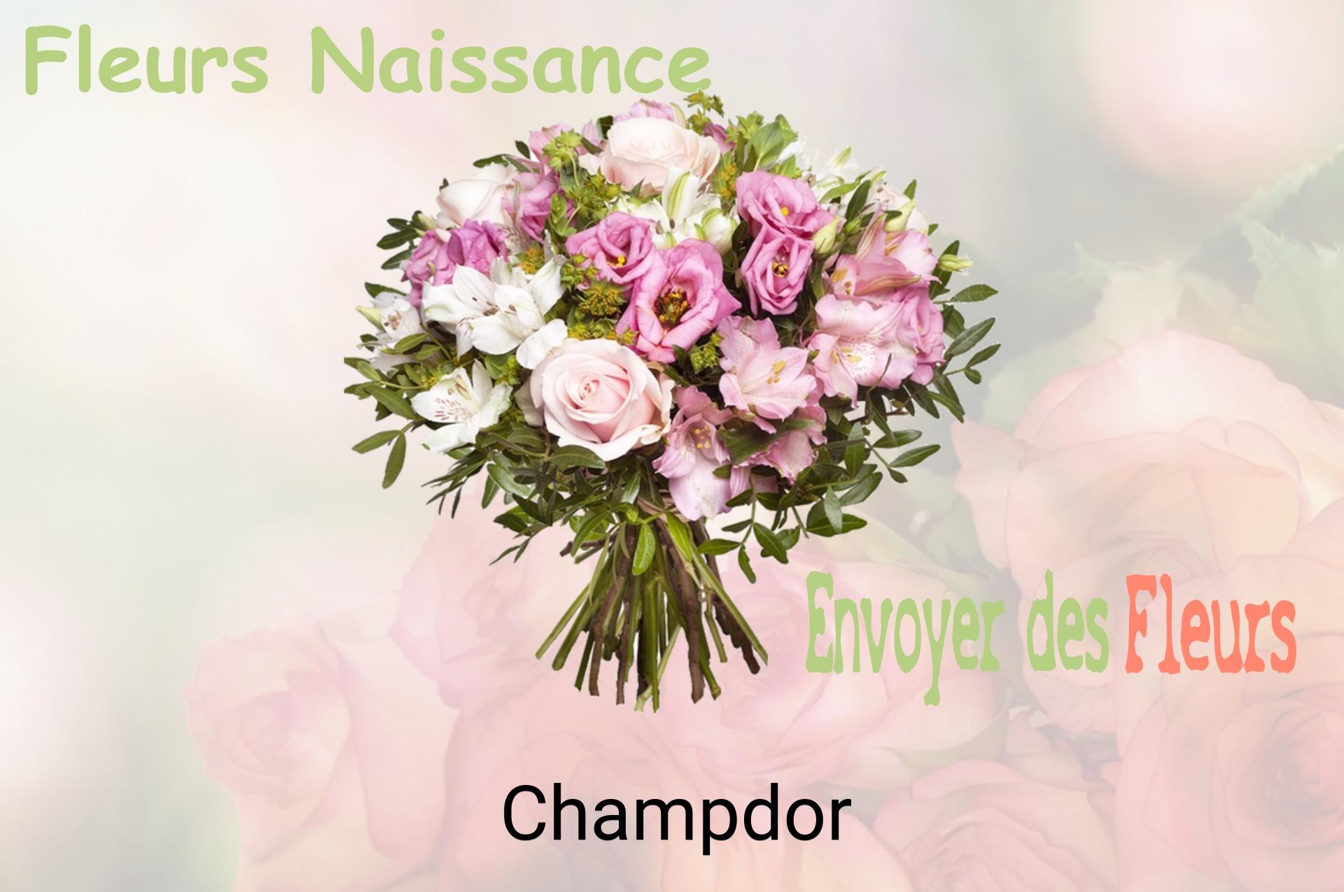 Bouquet de fleurs de naissance livré à Champdor