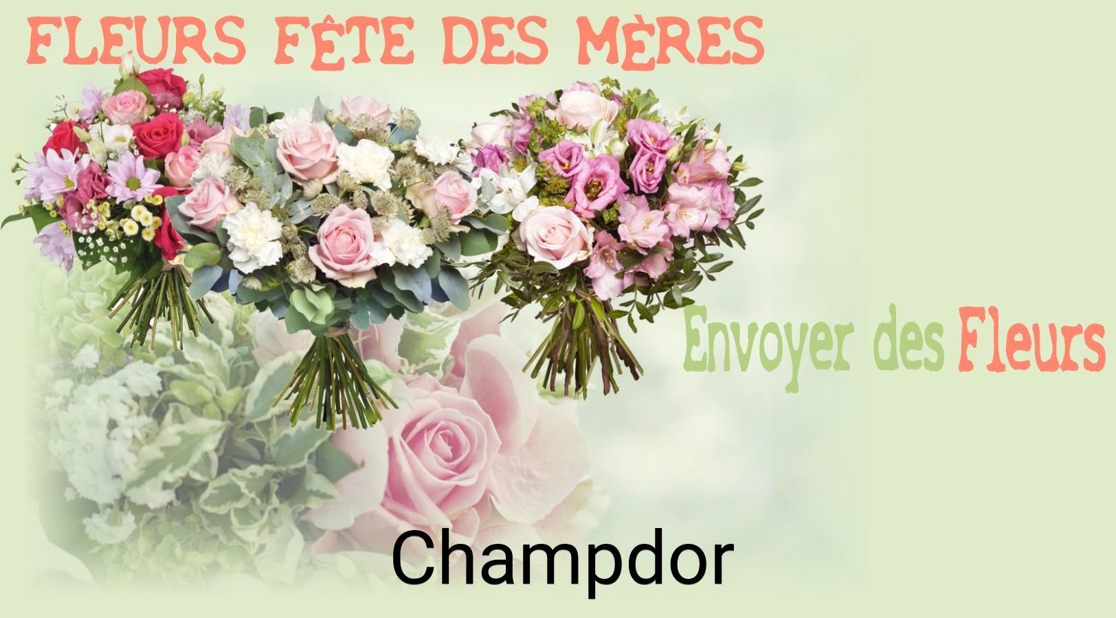 Bouquet de Fête des Mères livré à Champdor